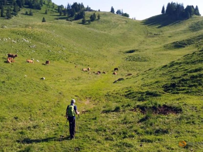 Swiss hiker defies Parkinson's, plans new challenge Swiss hiker defies Parkinson's, plans new challenge