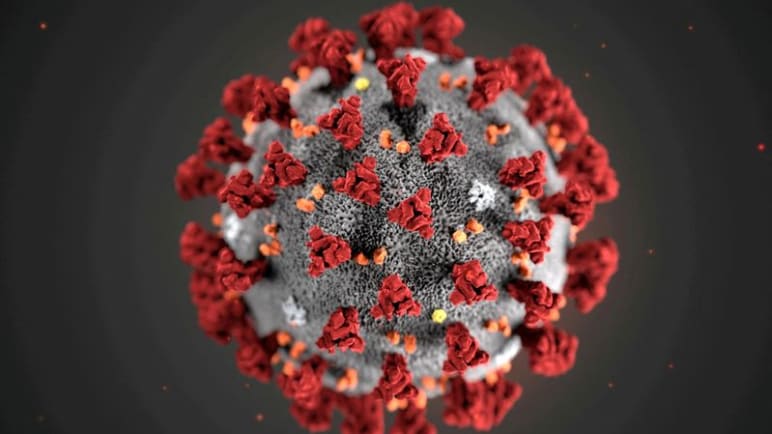 COVID-19 no longer global health emergency: WHO