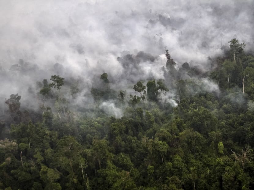 Indonesia ‘morally and legally responsible for haze’ Indonesia ‘morally and legally responsible for haze’