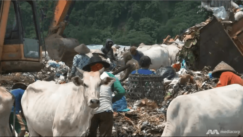 Diner in the landfill lets patrons pay for lunch with plastic waste