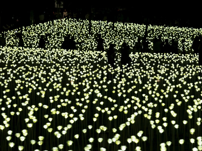 Hong Kong hosts Valentine’s Day with 25,000 LED roses