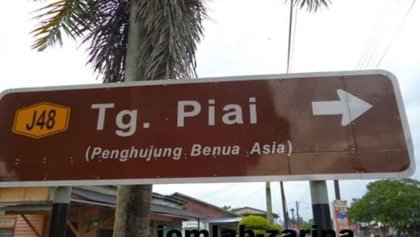 Tanjung Piai by-election: Pakatan Harapan names candidate while Barisan Nasional keeps mum