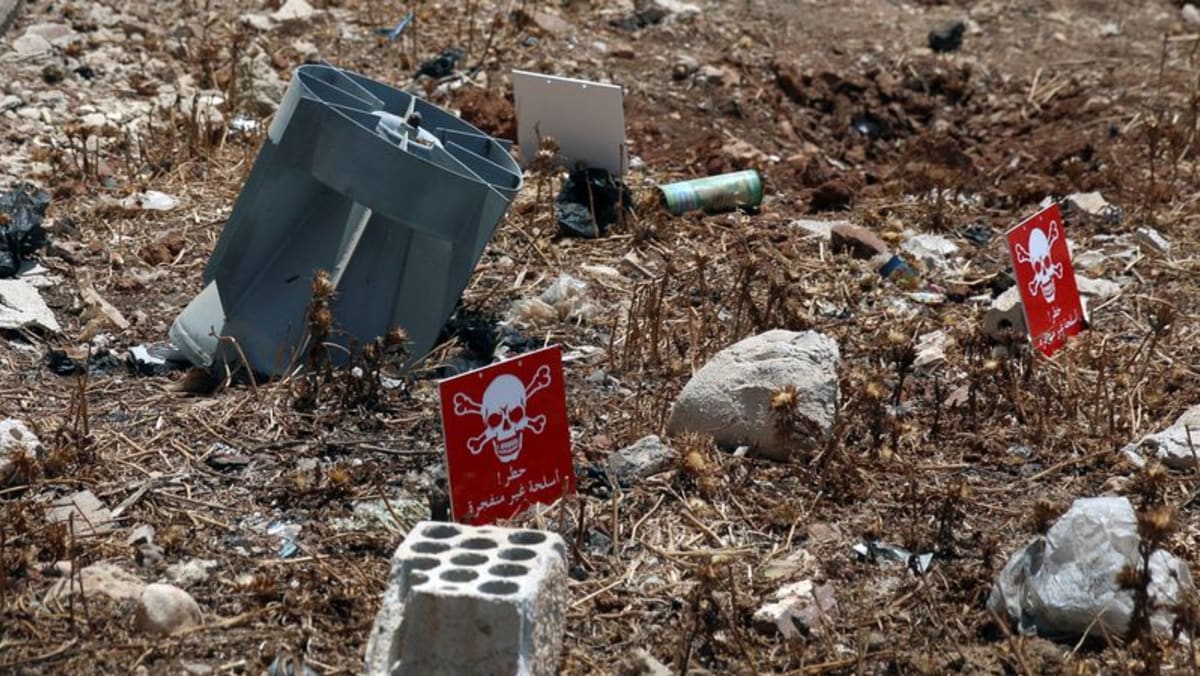 UN expert urges US not to supply Ukraine with cluster munitions UN expert urges US not to supply Ukraine with cluster munitions