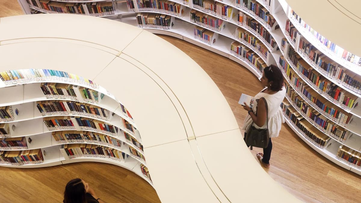The Big Read in short: How Singapore's public libraries survived the digital onslaught