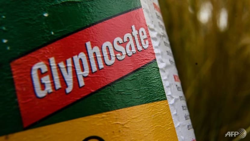Paris, 4 other French cities ban use of pesticides Paris, 4 other French cities ban use of pesticides