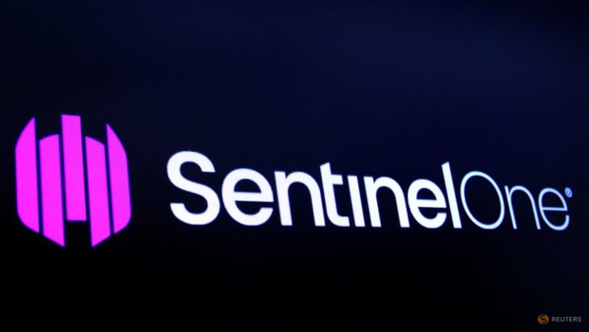 SentinelOne's disappointing forecast slams shares