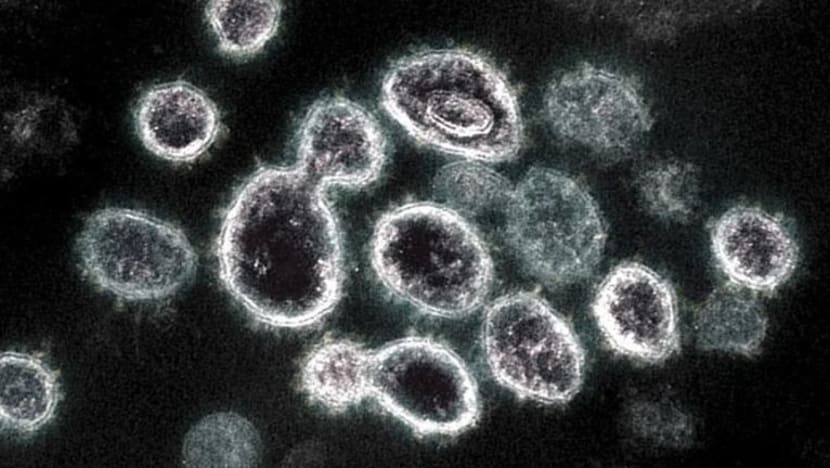 Koronavirus mungkin terus bermutasi, kata saintis
