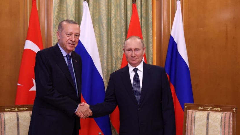 Putin, Erdogan setuju pertingkat kerjasama, tukar pembayaran gas kepada mata wang Rusia