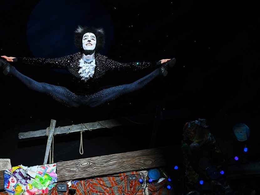 Cats The Musical Is Now In Singapore — And This Is What Cats First-Timers  Should Know Before You Go - TODAY