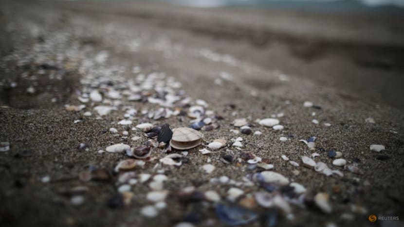 South Korea's beaches face threat from development, rising seas South Korea's beaches face threat from development, rising seas