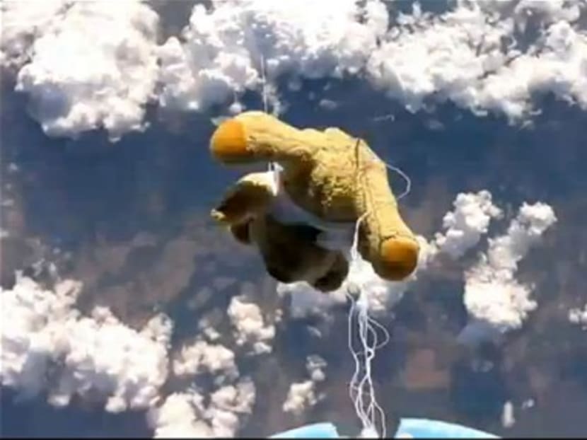 Teddy bear falls from space, beats skydiving record