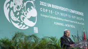 UN biodiversity talks open, billed as 'last chance' for nature