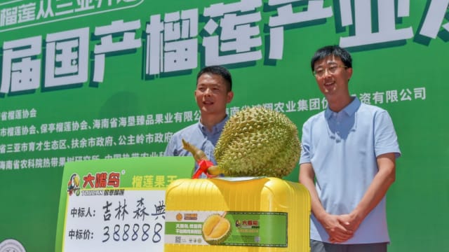 海南榴梿面世就创天价 七公斤以7万多元拍卖售出
