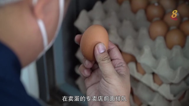 焦点 | 马国蛋农为什么在亏钱？