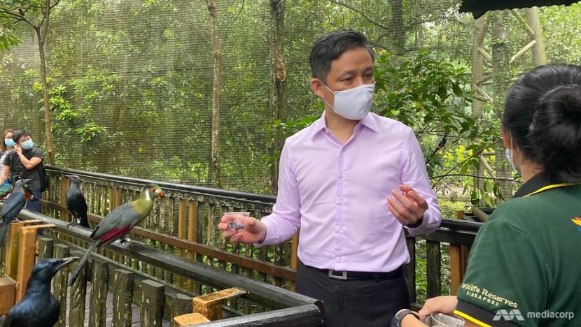Singaporeans aged 18 and above to receive S$100 worth of local tourism vouchers Singaporeans aged 18 and above to receive S$100 worth of local tourism vouchers