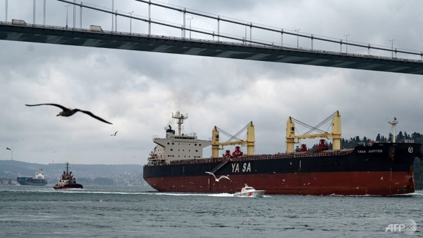 Ukraine says two commercial ships hit by Russian missiles near Odessa port Ukraine says two commercial ships hit by Russian missiles near Odessa port