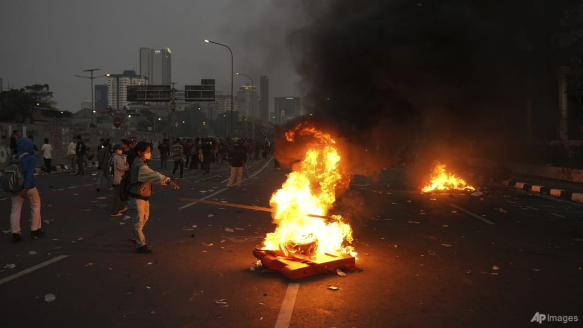 Indonesia lawmakers shelve plan to change election law as protests rage Indonesia lawmakers shelve plan to change election law as protests rage