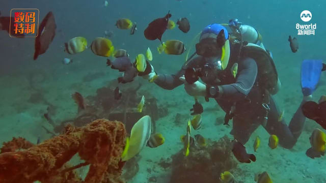 【疫前、疫后】新加坡潜水教练 在菲律宾与海为伴