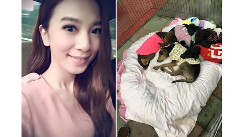 Netizens praise Hebe Tien for helping strays