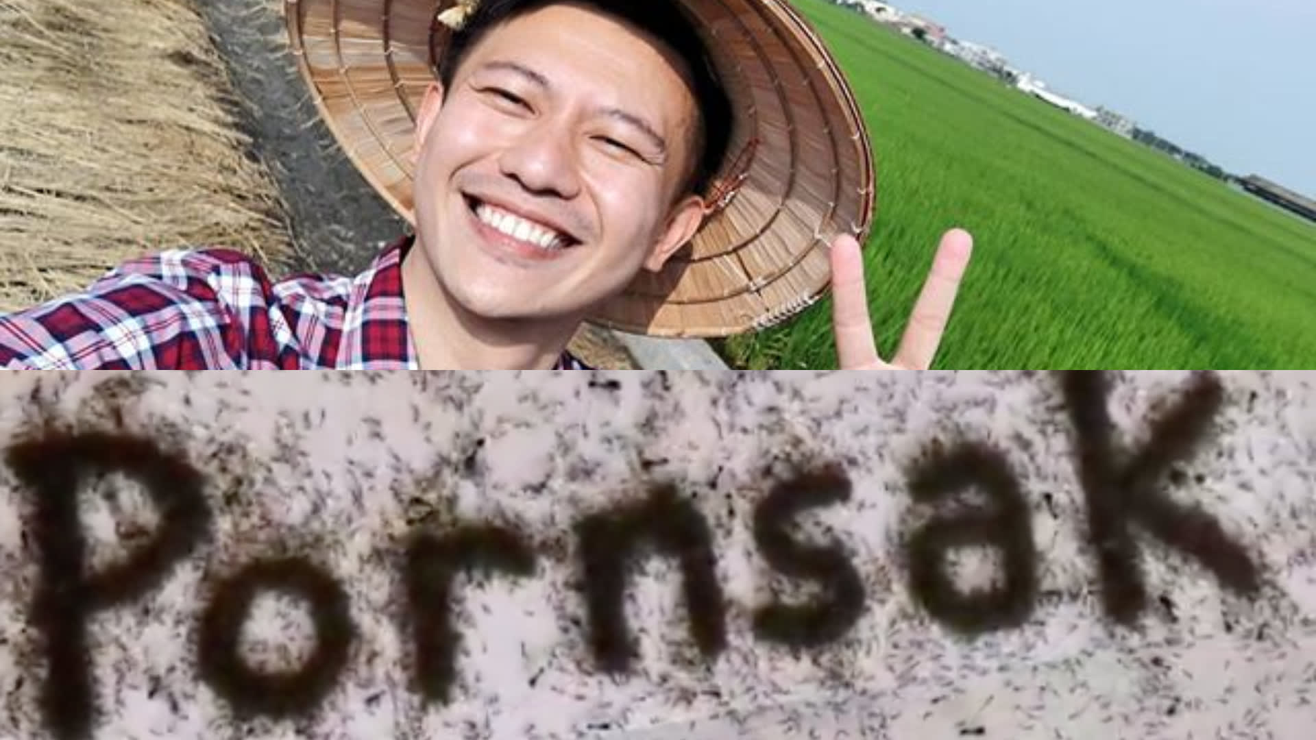 This Video Of Ants Spelling Out Pornsak’s Name Will Make Your Skin Crawl