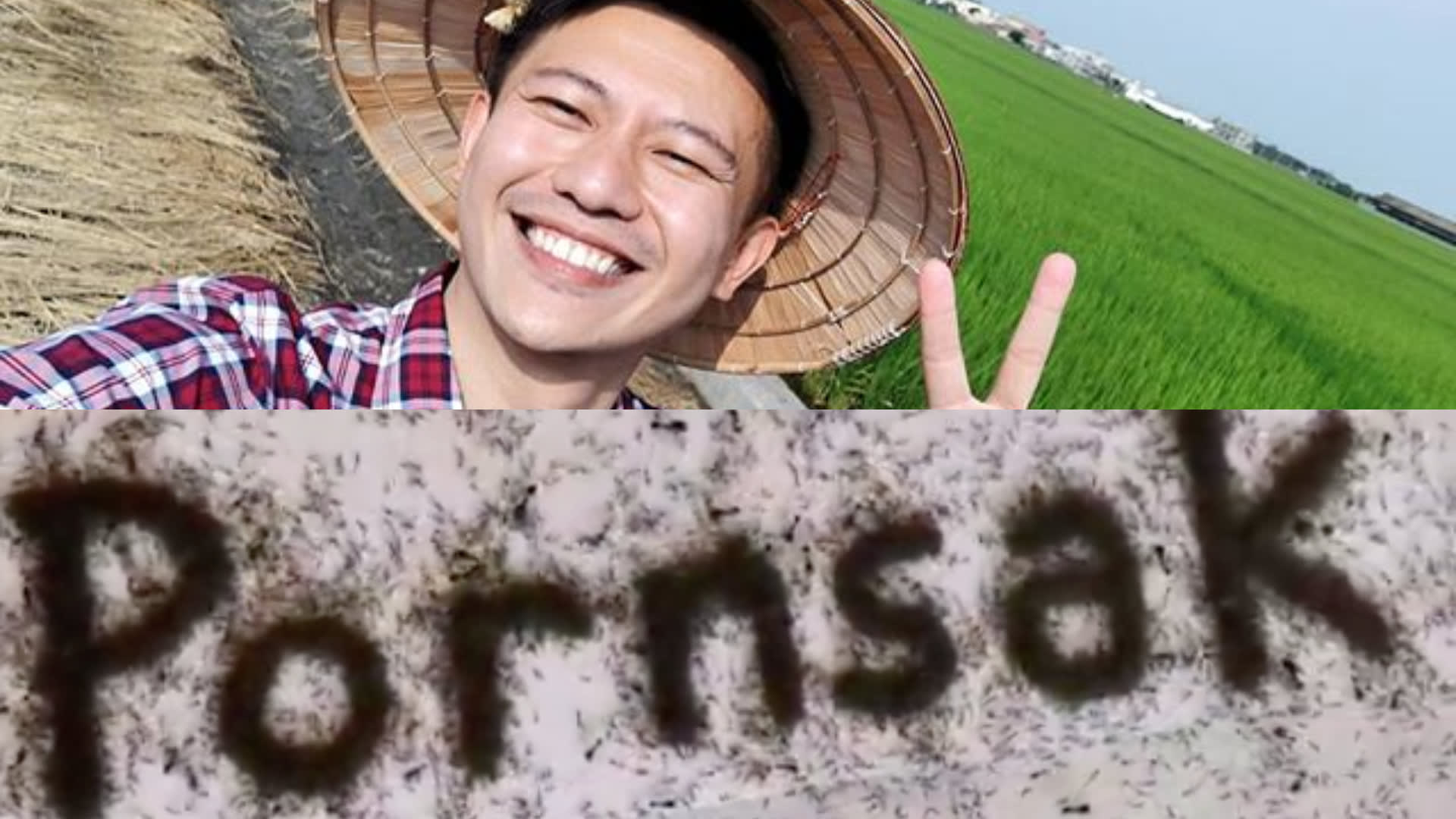This Video Of Ants Spelling Out Pornsak’s Name Will Make Your Skin Crawl This Video Of Ants Spelling Out Pornsak’s Name Will Make Your Skin Crawl