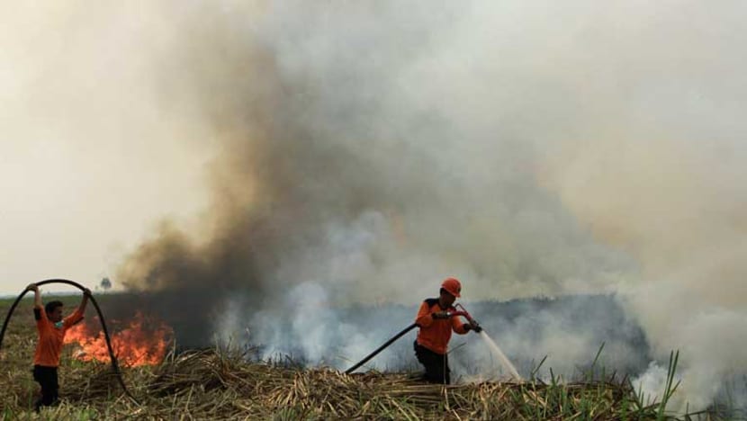 Death toll rises as millions in Indonesia suffer from raging forest fires Death toll rises as millions in Indonesia suffer from raging forest fires