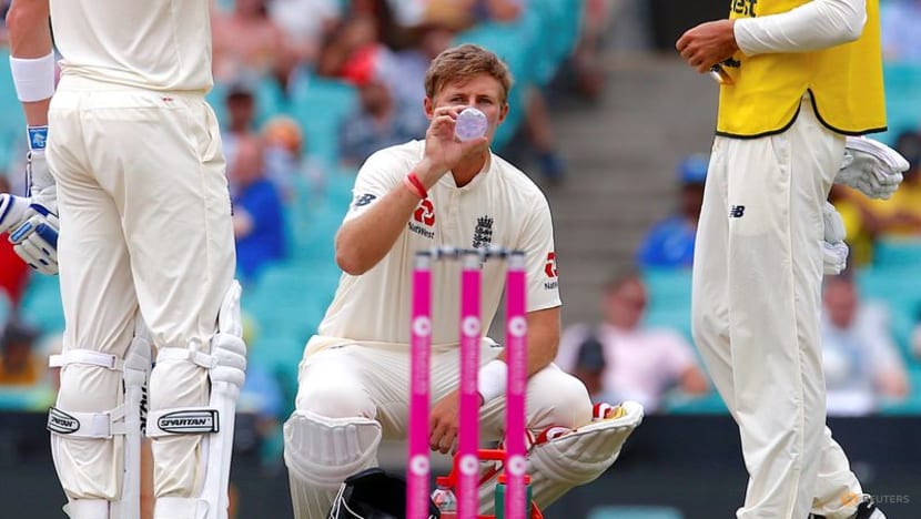 Australia 'flexible and practical' for Ashes - minister Australia 'flexible and practical' for Ashes - minister