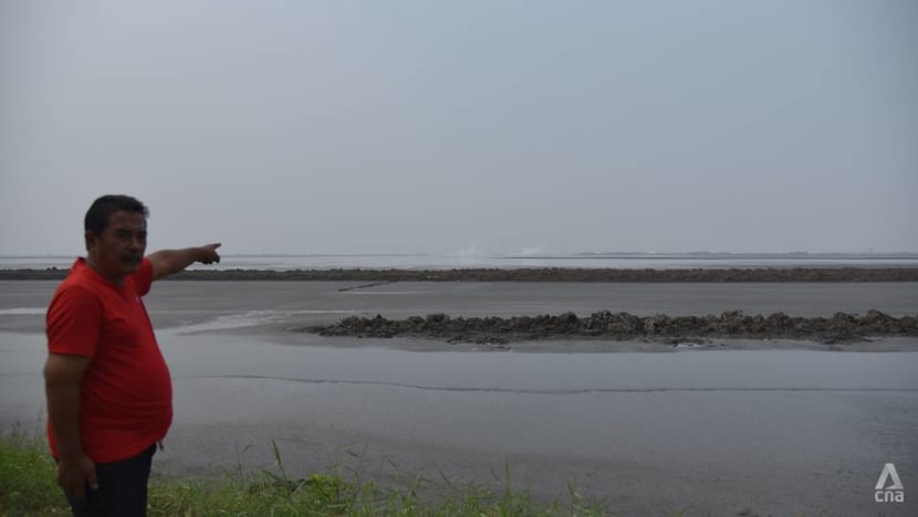 the sidoarjo mud volcano case study