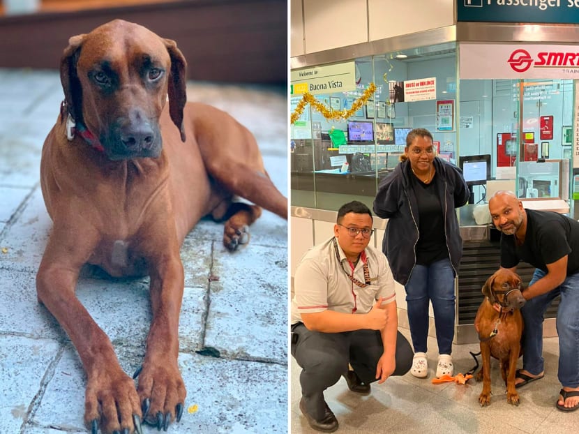 Apollo (left) was reunited with its owner Mr Karthik Nathan with the help of SMRT employees from Buona Vista MRT Station (right). 
