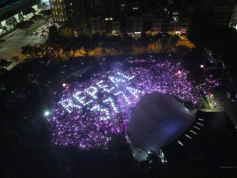 A light-up at the Pink Dot gathering in Hong Lim Park on June 29, 2019.
