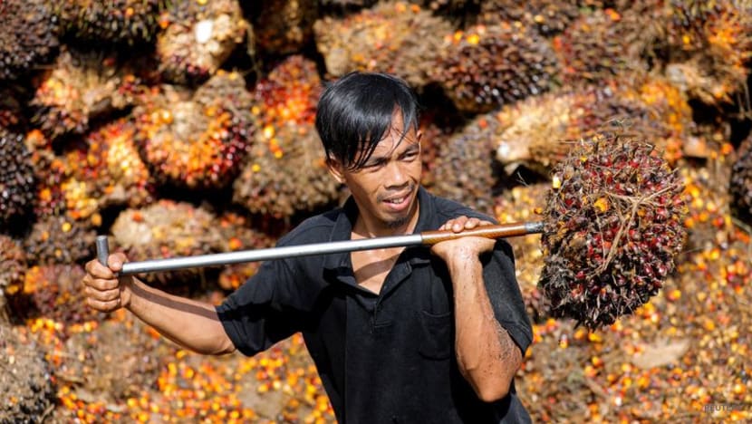 Indonesia trimming palm oil stocks with discounts, India sales Indonesia trimming palm oil stocks with discounts, India sales