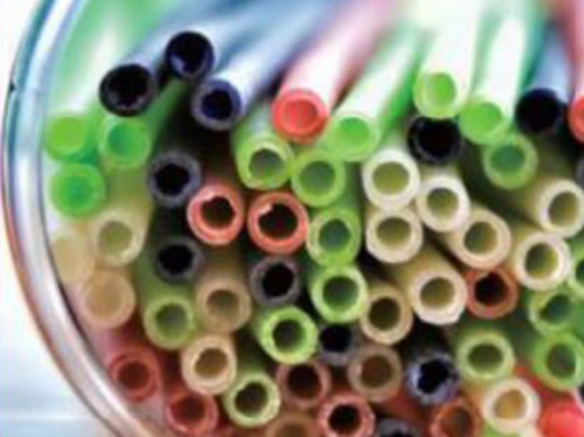 Straws made of rice have debuted in Singapore – could they save the earth? Straws made of rice have debuted in Singapore – could they save the earth?