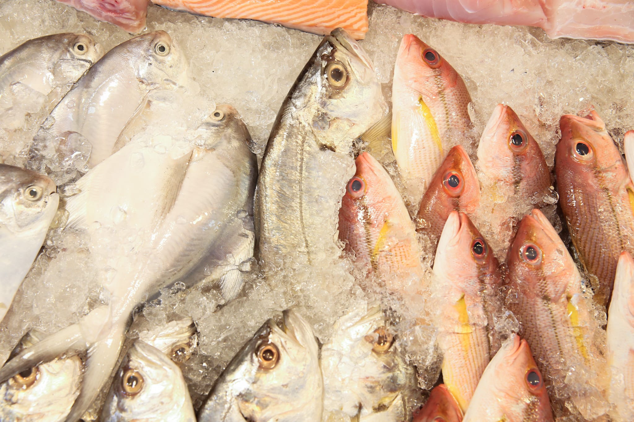 26% of seafood products found to be labelled wrongly: Yale-NUS study 26% of seafood products found to be labelled wrongly: Yale-NUS study