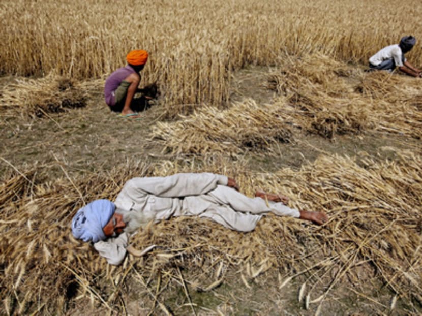 Agriculture contributes less than 15 per cent of India’s GDP but its performance has a considerable impact on the wider economy as it remains the primary source of income for about half the population. Photo: Reuters