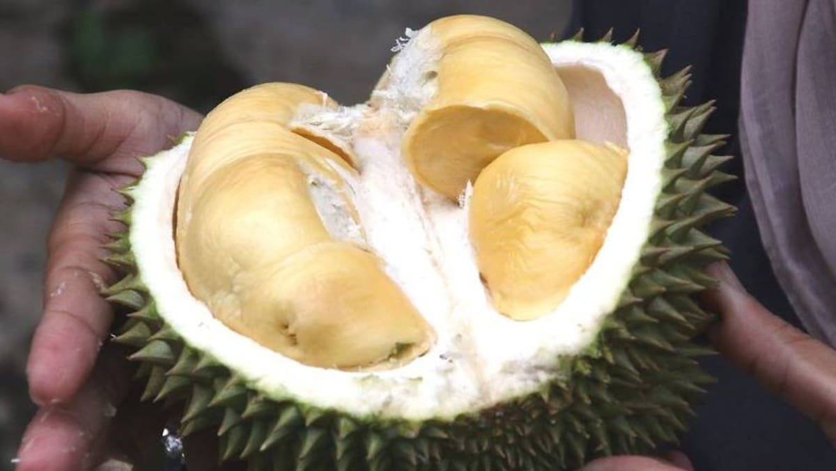 Makan durian selepas pantang Makan ubat