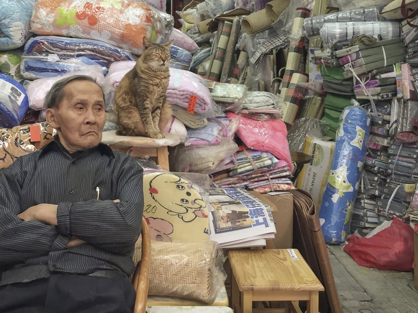 Gallery: Feline good: Photographing the cats found in traditional Hong Kong shops