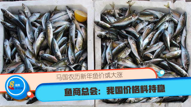 马国农历新年鱼价或大涨 鱼商总会：我国价格料持稳