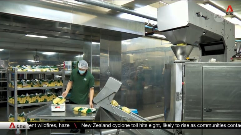 More firms looking into energy efficient equipment after grant extended | Video