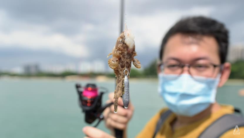 Trying fishing for the first time at Bedok Jetty – and learning how to do  it sustainably - CNA