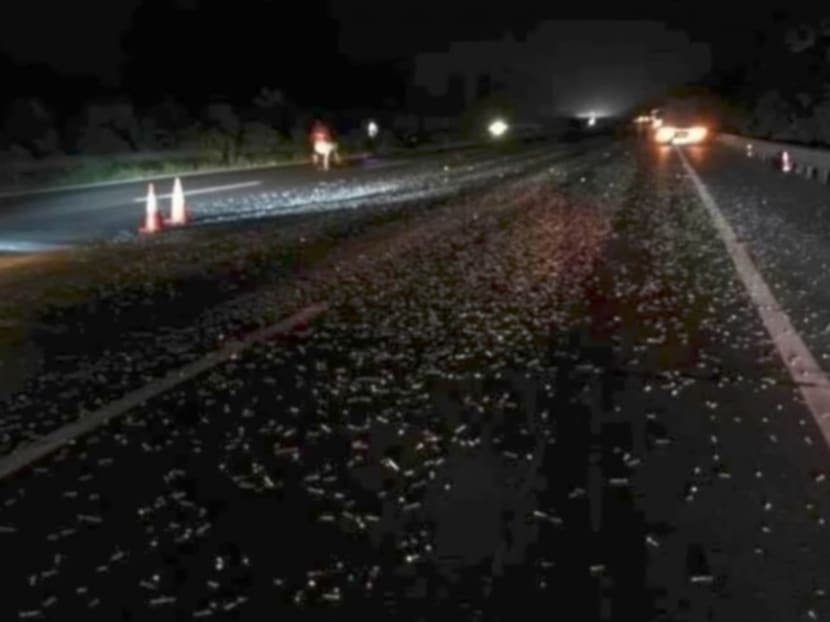 More than 100 vehicles had their tyres punctured after driving over thousands of nails and screws scattered across a road in Zhejiang. Photo: Handout via SCMP