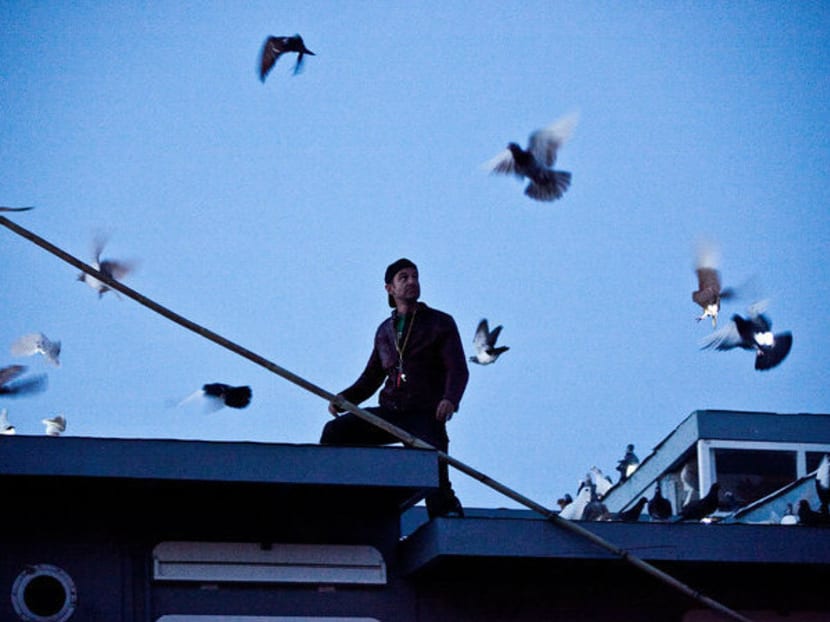 Gallery: 2,000 pigeons will put on a light show in Brooklyn
