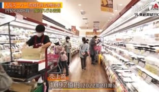 Gaia Series 7: New Challenges For Popular Supermarket "Seijo Ishii"