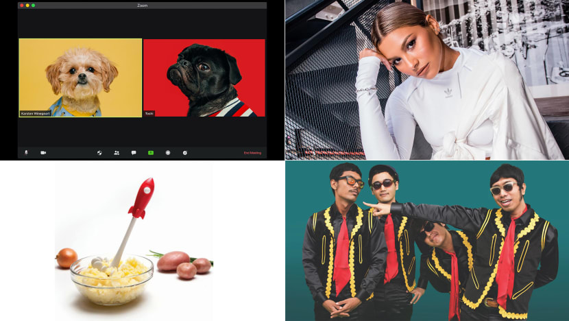Digital KTV Sessions, Online Pet Gatherings, K-pop Gigs & Other Fab Things To Do At Home This Long Weekend