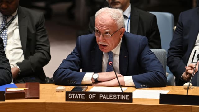 安理会无法就巴勒斯坦加入联合国达成共识