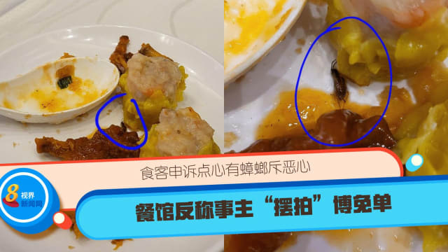 食客申诉点心有蟑螂斥恶心 餐馆反称事主“摆拍”博免单
