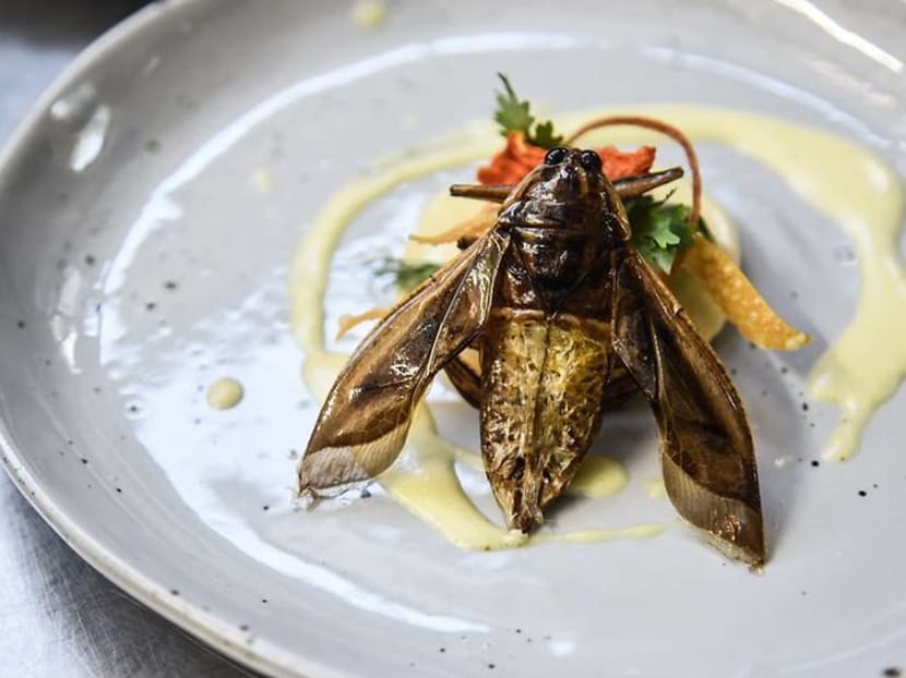 Food of the future? Five-star edible insects served up as Thailand gets creative with bug business Food of the future? Five-star edible insects served up as Thailand gets creative with bug business