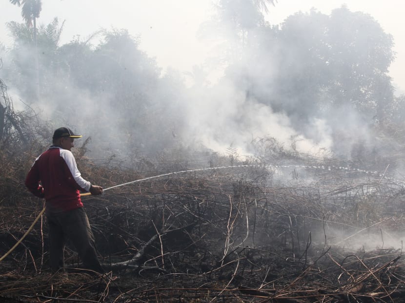 Mr Mohammad Azaki attempts to put out fire that was burning on a patch of private land opposite his house in Parit Indah, Pekanbaru on 20 June 2013. Photo: Ooi Boon Keong
