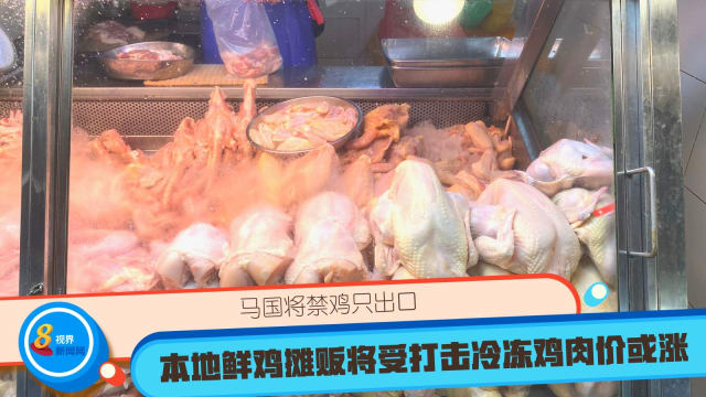 马国将禁鸡只出口 本地鲜鸡摊贩将受打击冷冻鸡肉价或飙涨