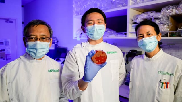 以新加坡命名 本地科学家发现新型葡萄球菌