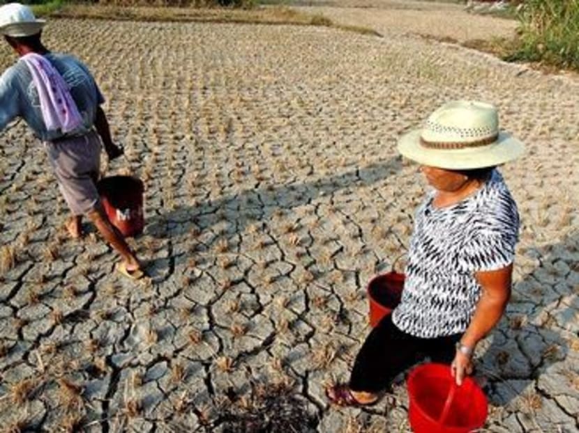 Asia will face new challenges over food security because of climate change. Photo: AP